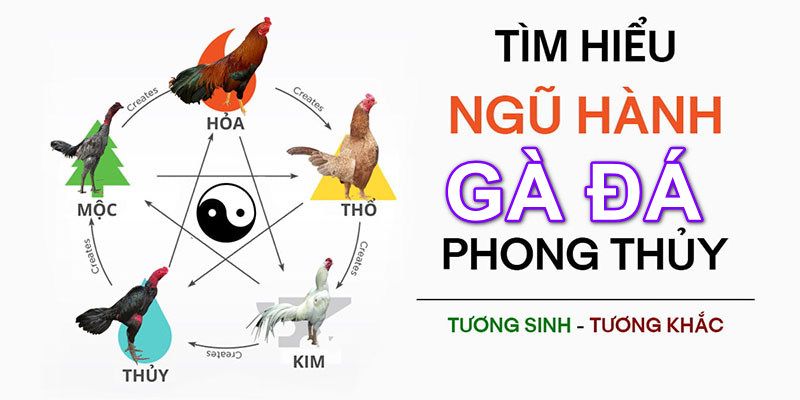 Các màu tương sinh tương khắc theo phong thủy ngũ hành